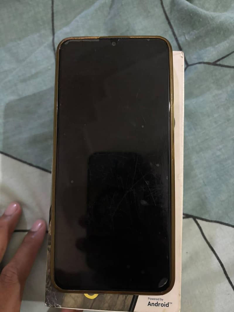 Nokia C31 2