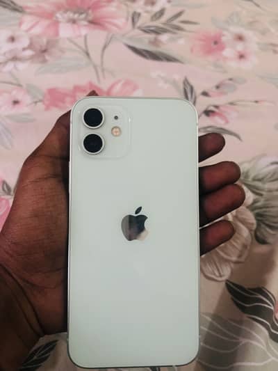 iPhone 12 PTA APROVED DUEL SIM WITH BOX  CONDITION 10/10  64 Gb