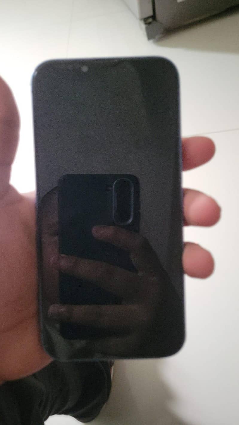 Apple iPhone 13 0