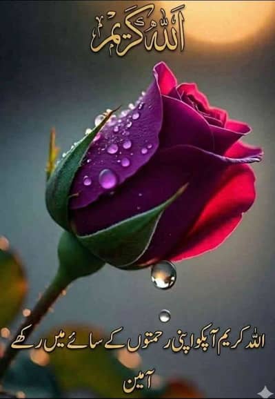 Shahid Zaib