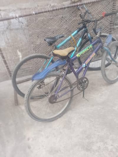 2 cycle he vip he