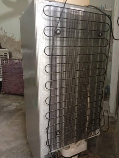 new Hair Fridge Medium size