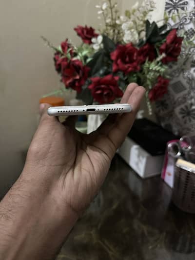 Apple iPhone 7 Plus