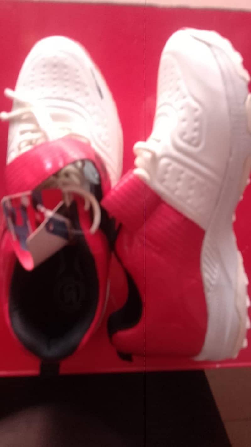 CA shose 0