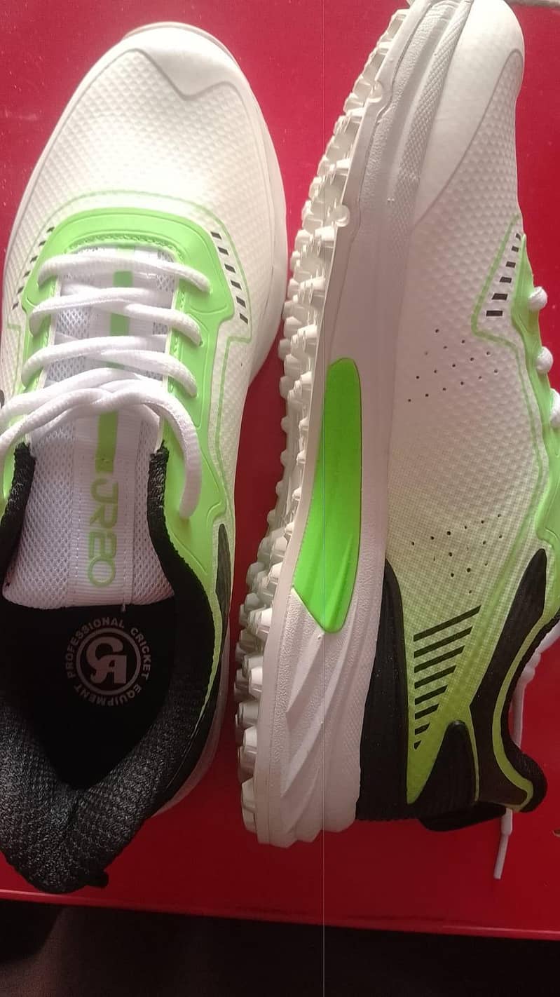 CA shose 1