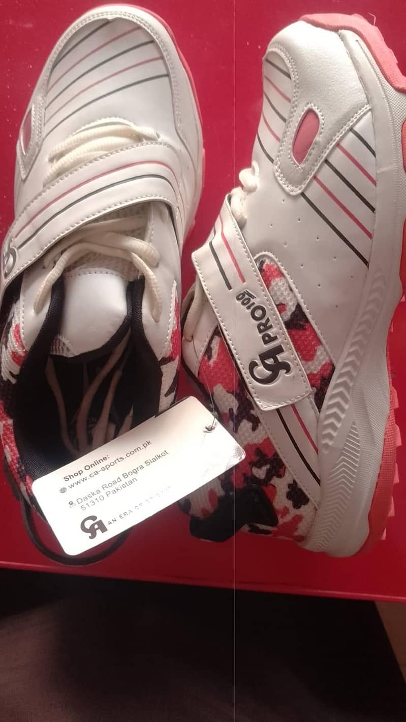CA shose 2