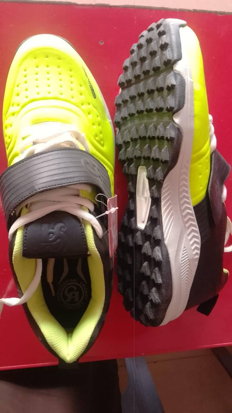 CA shose 3
