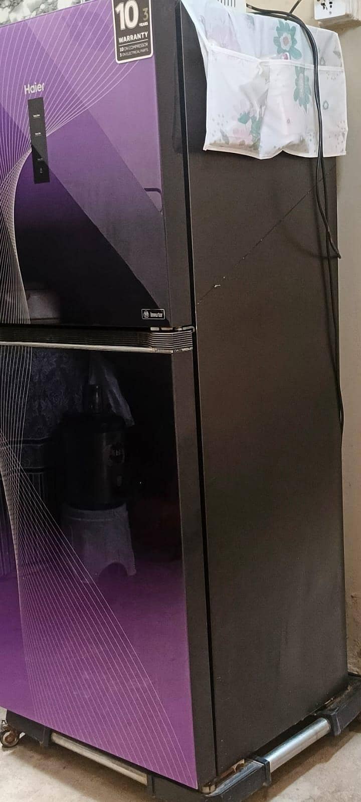 medium size 1