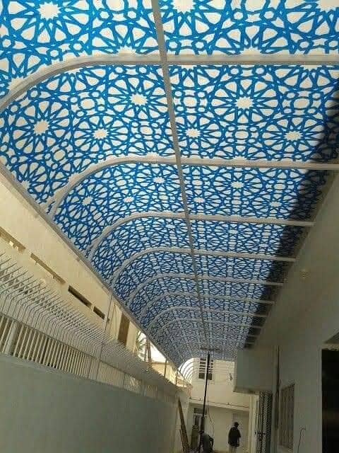 Sun Shades 7