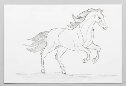 beautiful handmade horse pencil sketch