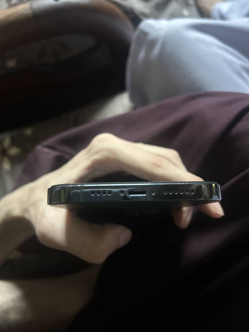 iPhone 13 pro max 1