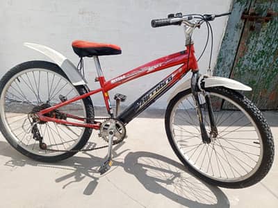 VIP Bicycle