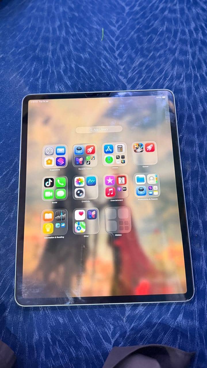 iPad pro 12.9 4th generation 6