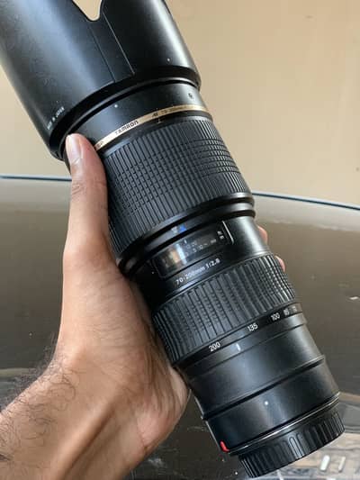 Canon 5D Mark II with Tamron 70-200 f2.8