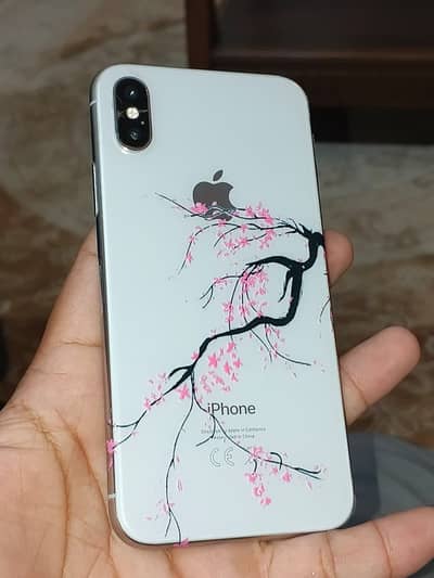 Apple iPhone X 64 GB PTA APP