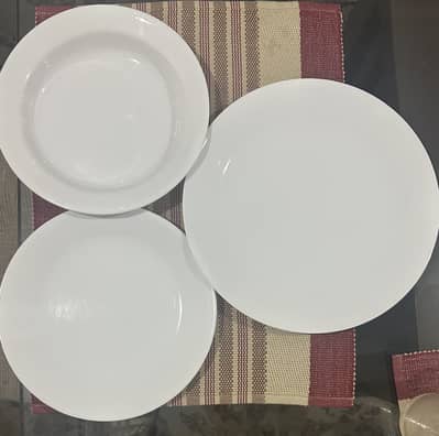 24 Corelle dining plates.