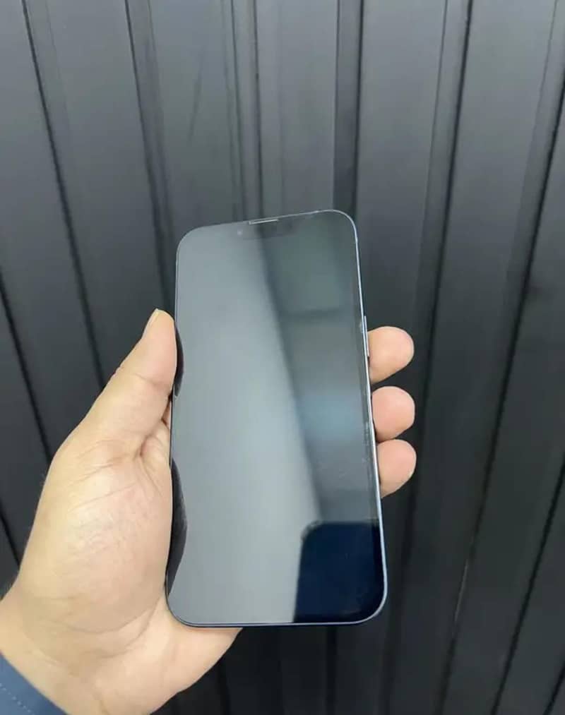 Apple iPhone 13 0