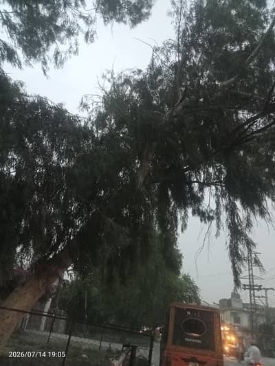 massag serves Lahore 03710484145