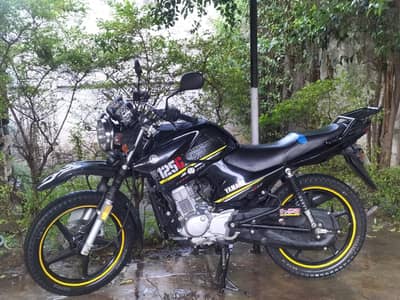 Yamaha YBR