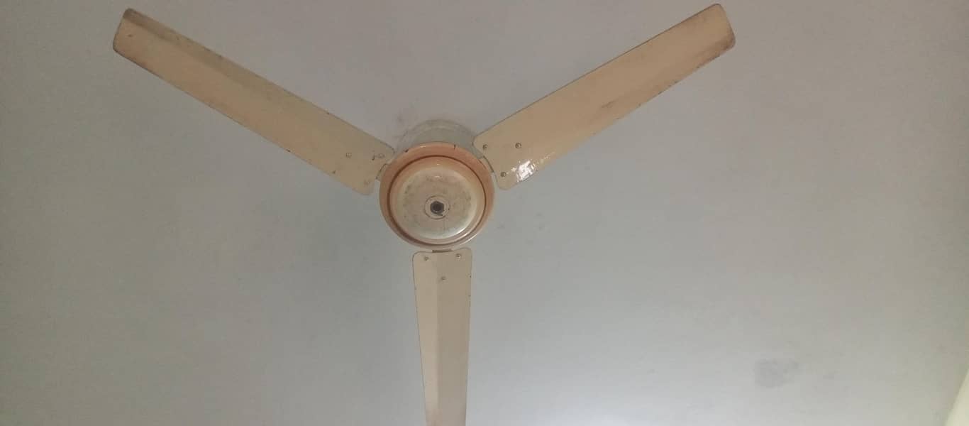 Ceiling fan 1