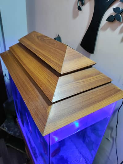2 ft aquarium for sale