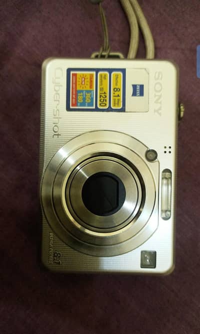 Sony cyber shot dsc-w100