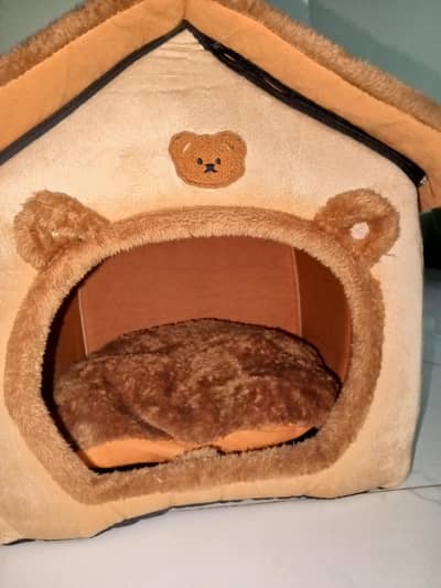 dog and cat house