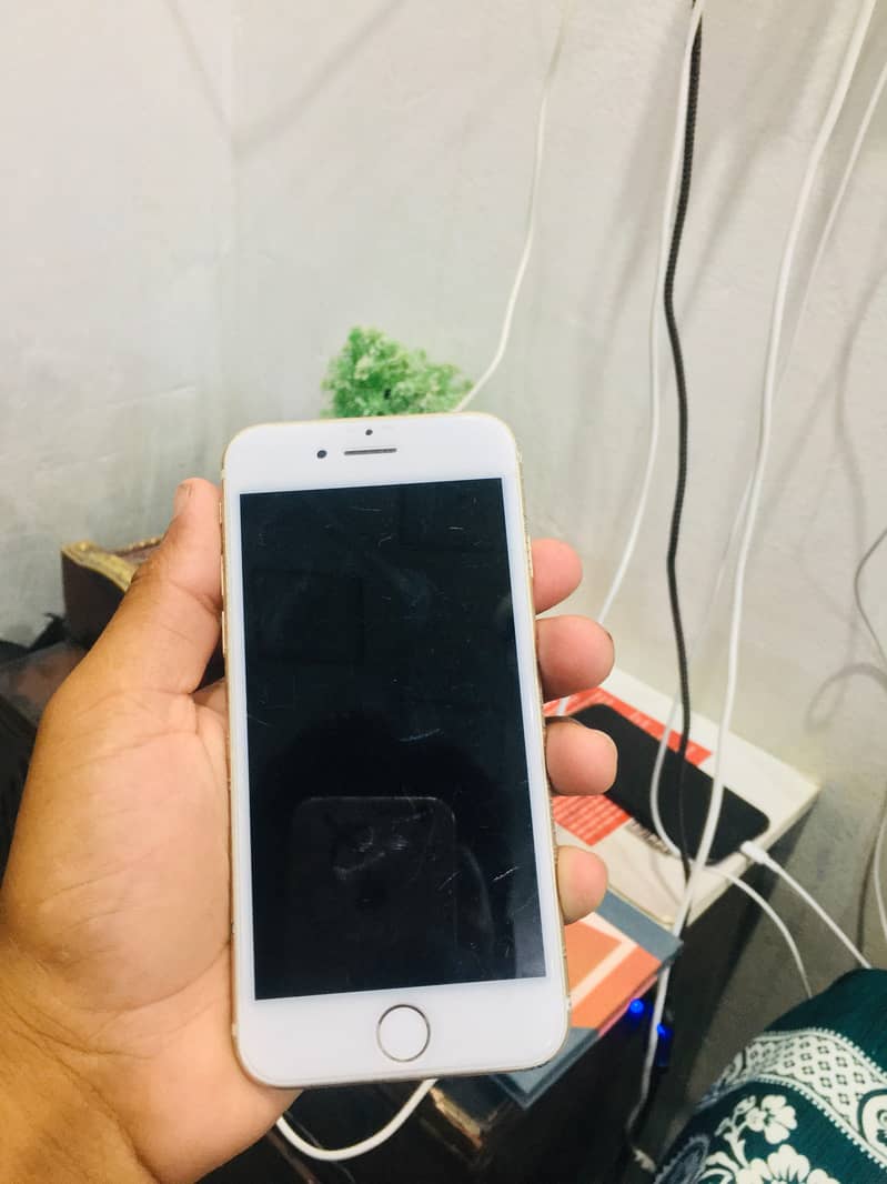 Apple iPhone 7 3