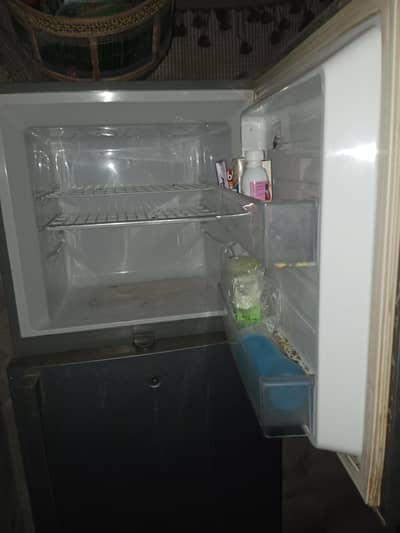 hair fridge