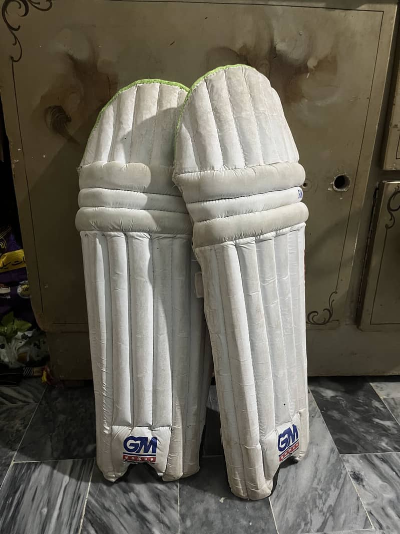 Cricket kit 3