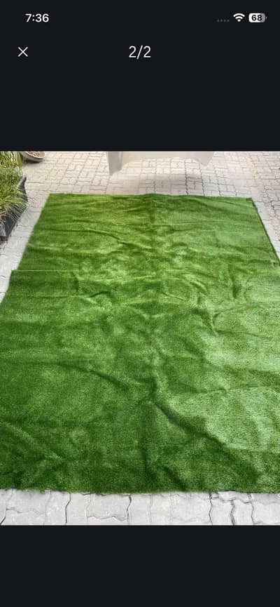 Green grass carpet