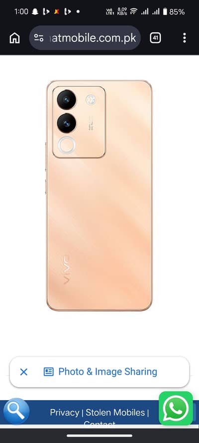 Vivo V29e