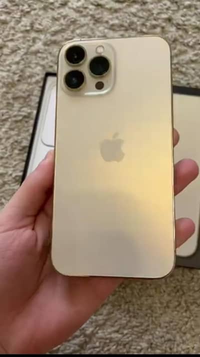 Apple iPhone 13 Pro Max