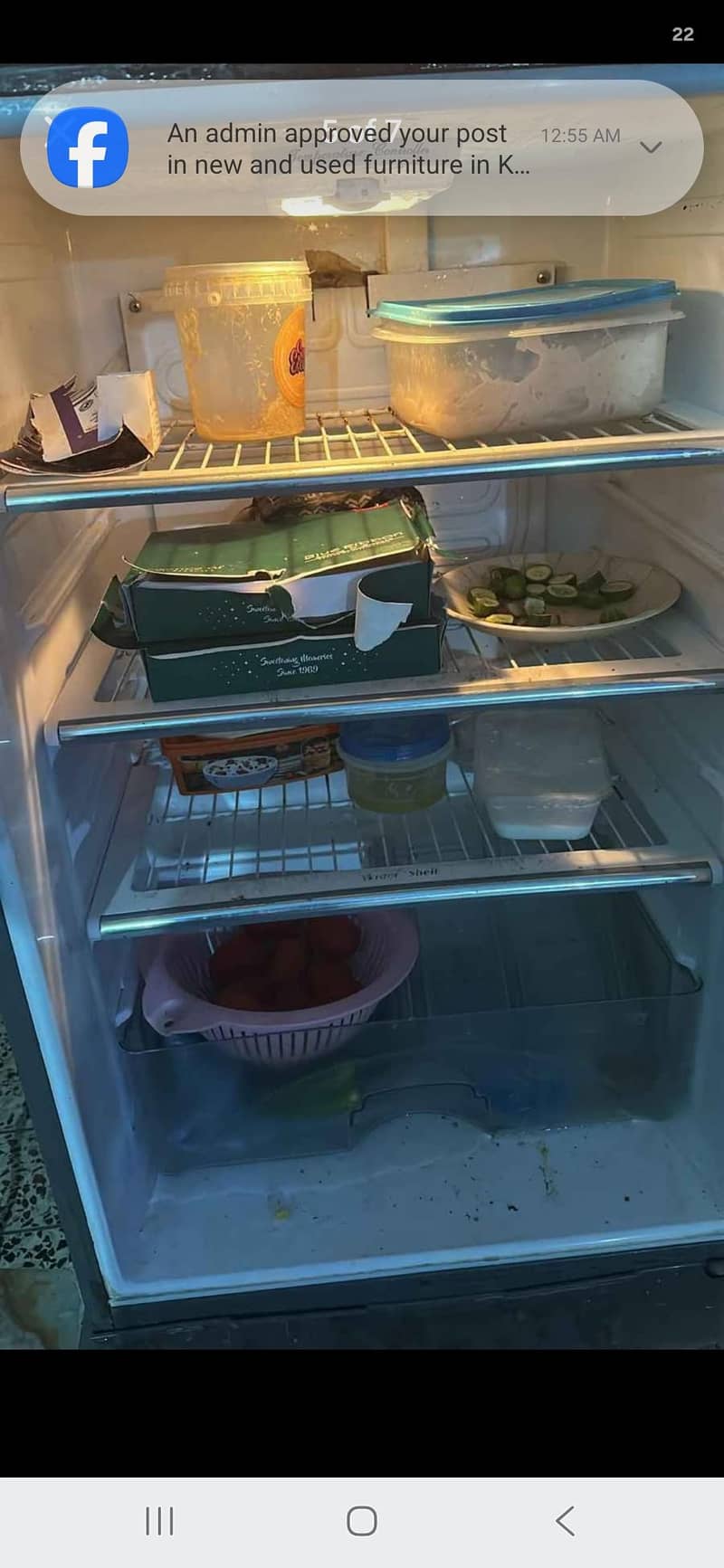 fridge medium size 1