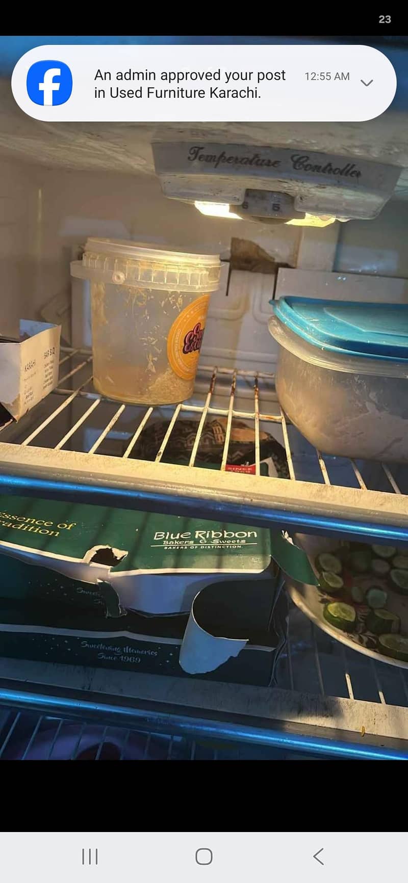 fridge medium size 3