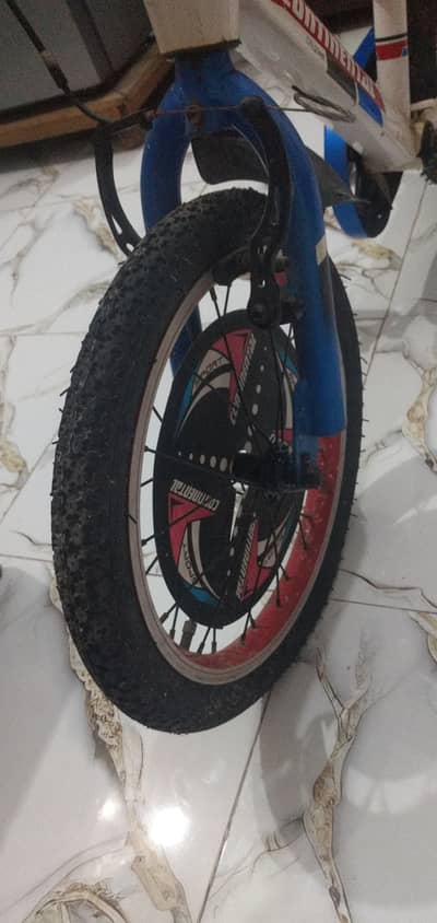 Original Continental Brand Cycle