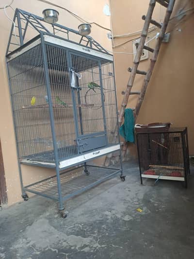 birds cage for contact 03214281081