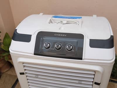 Air cooler