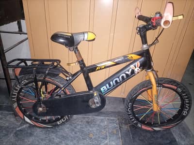 Bunny cycle best for 10 years boy