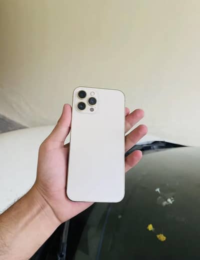 Apple iPhone 12 Pro Max