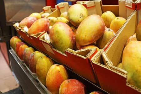 organic mango 