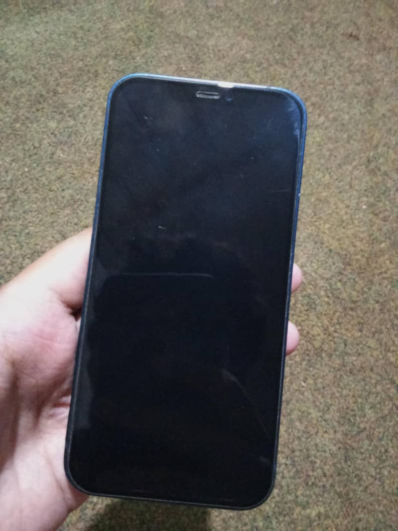 Apple iPhone 12 1