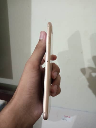 Apple iPhone 8 Plus