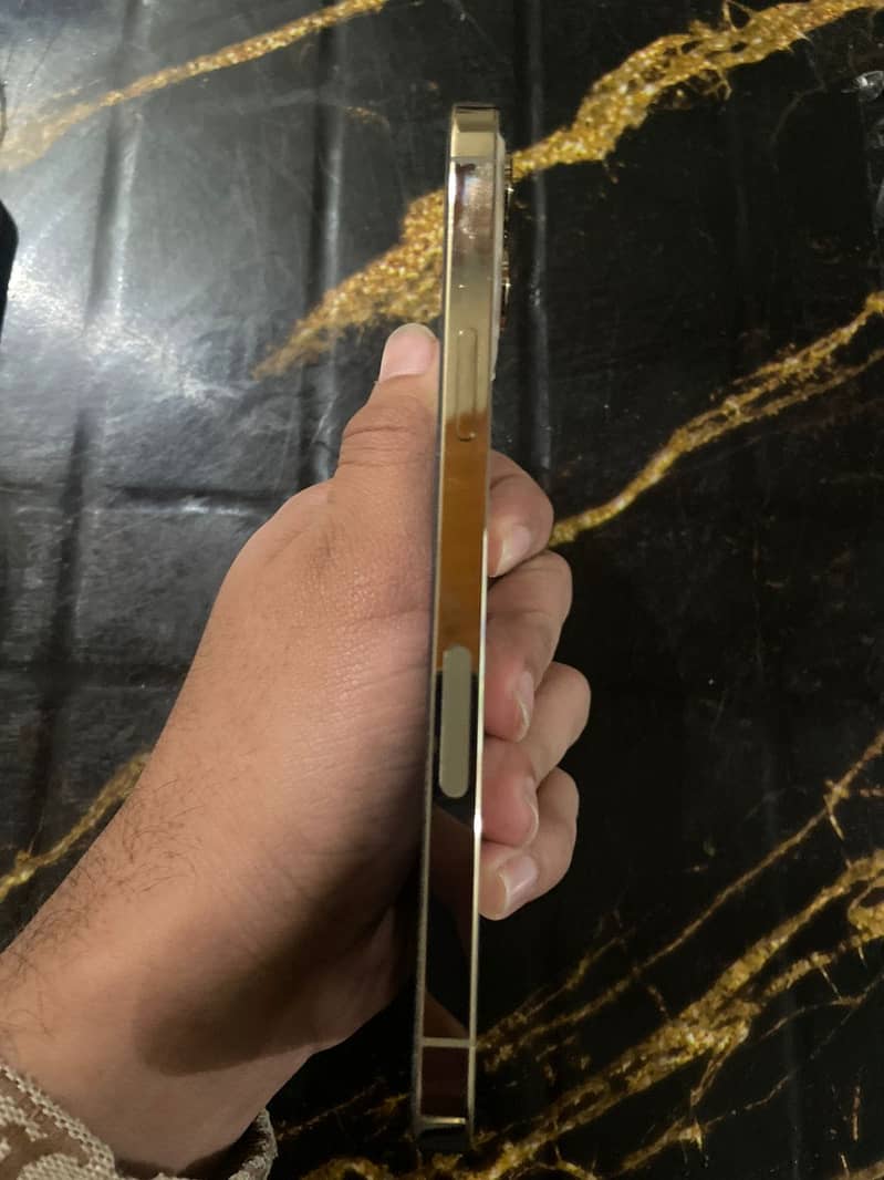 iPhone 12 Pro Max 3