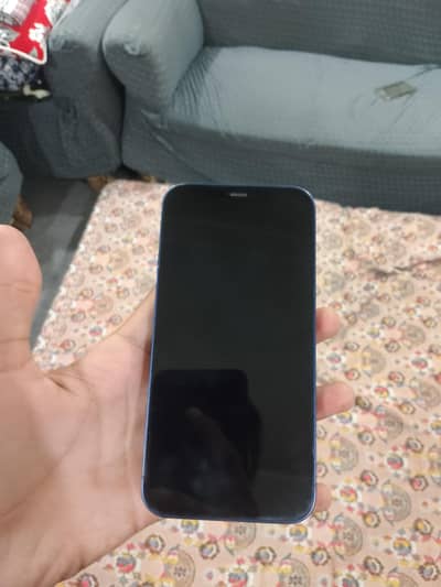 Apple iPhone 12
