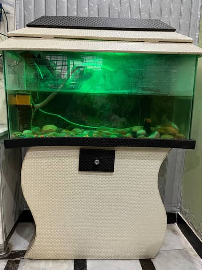 Aquarium for sale with fishes