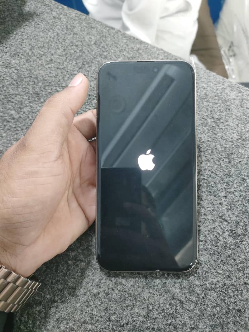 Apple iPhone 16 Pro Max 2