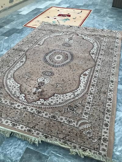 12x 8 ft carpet / rug