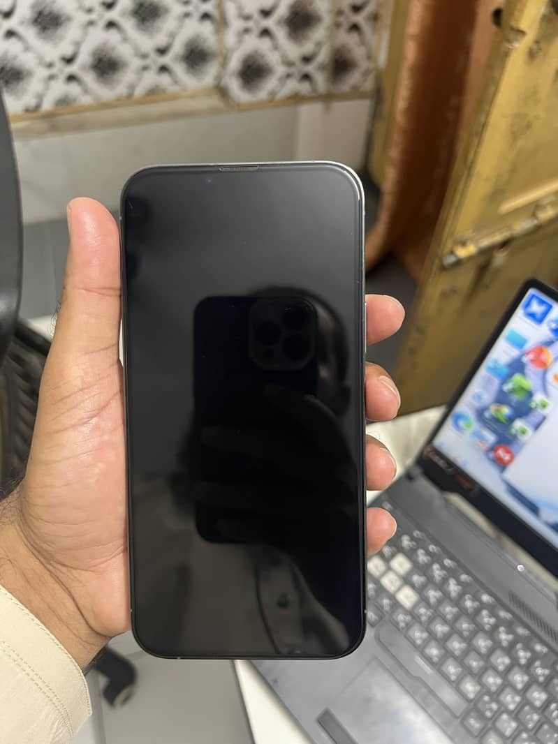 Apple iPhone 13 Pro Max 1