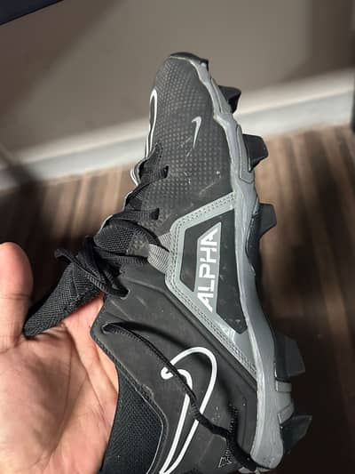 Nike Fastflez Alpha size 10
